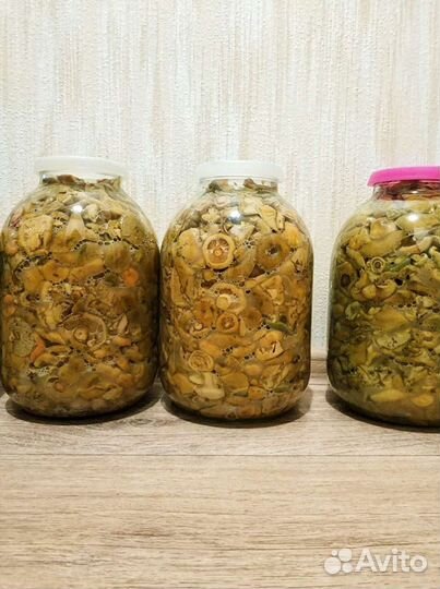 Рыжики солёные / маринованые / грибы