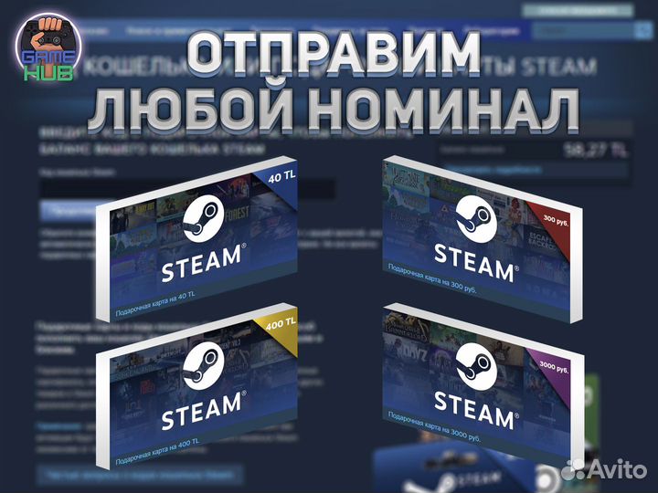 Пополнение кошелька Steam Россия/Турция