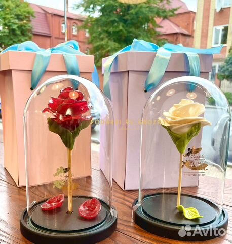 Роза карамельная