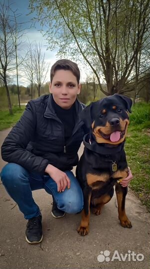 Кинолог с выездом