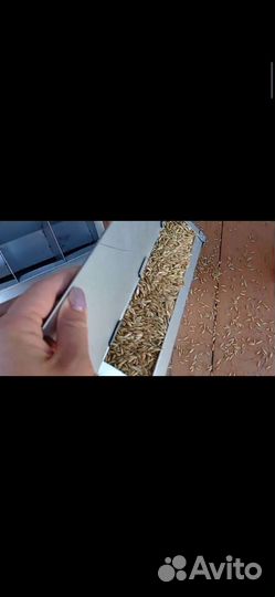 Кормушки для кроликов