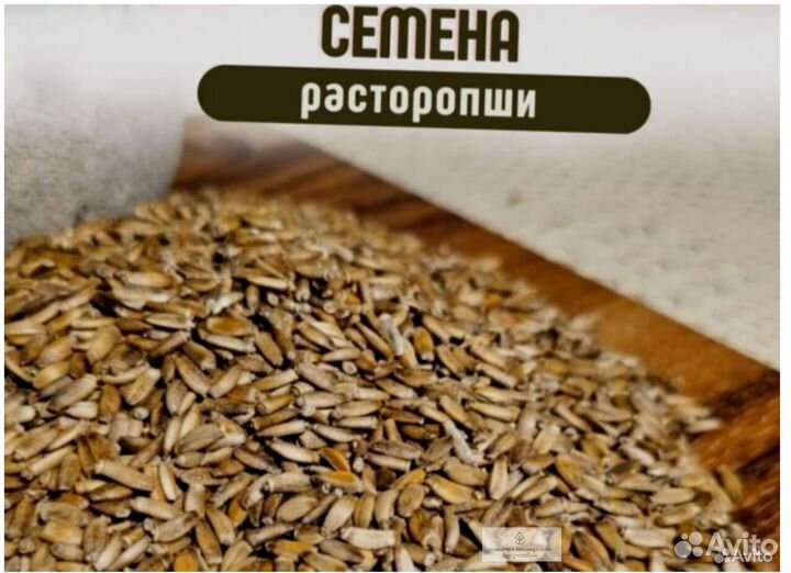 Расторопша семена новые