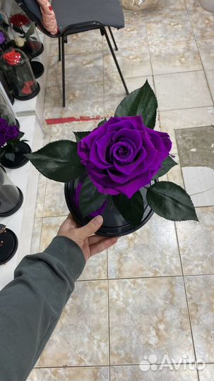 Цветы розы с доставкой