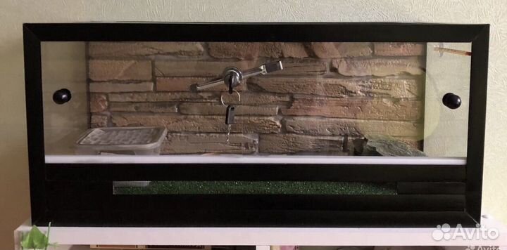 Террариум для рептилий