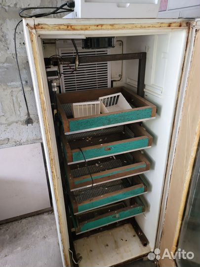 Инкубатор для яиц автоматический