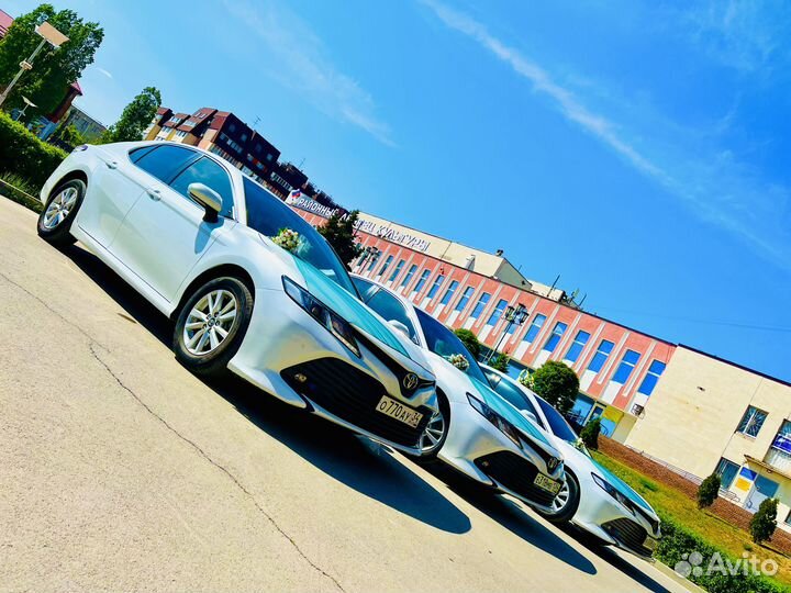 Авто на свадьбу свадебный кортеж автобусы