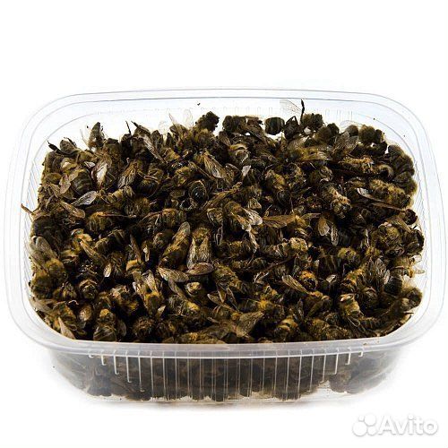 Подмор Пчелиный/подмор пчёл