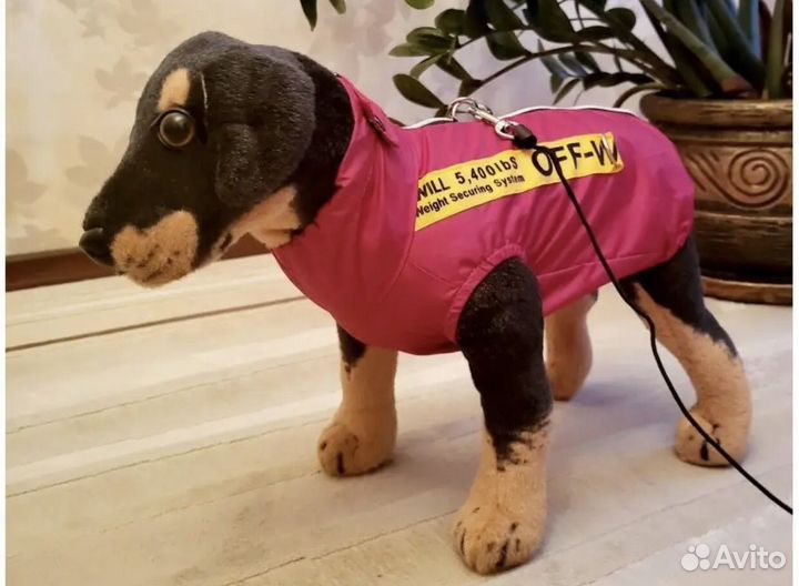 Одежда для маленьких собак