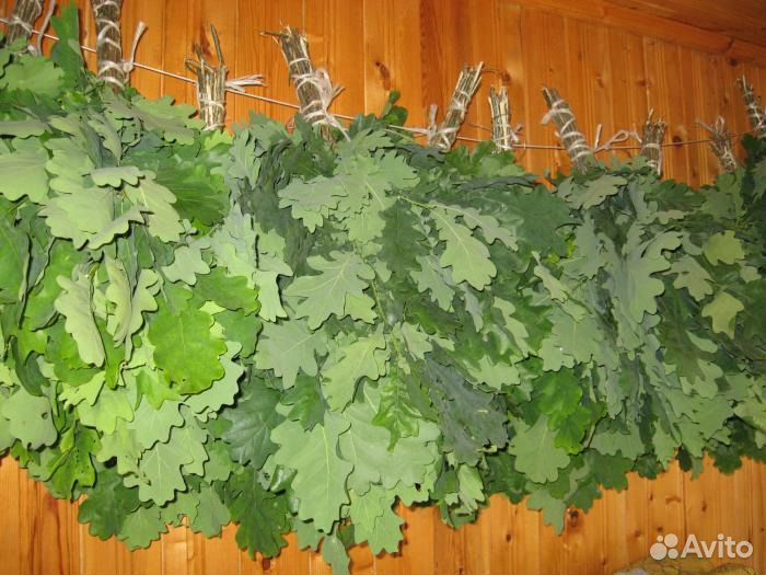 Веники дубовые, березовые, пихтовые для бани