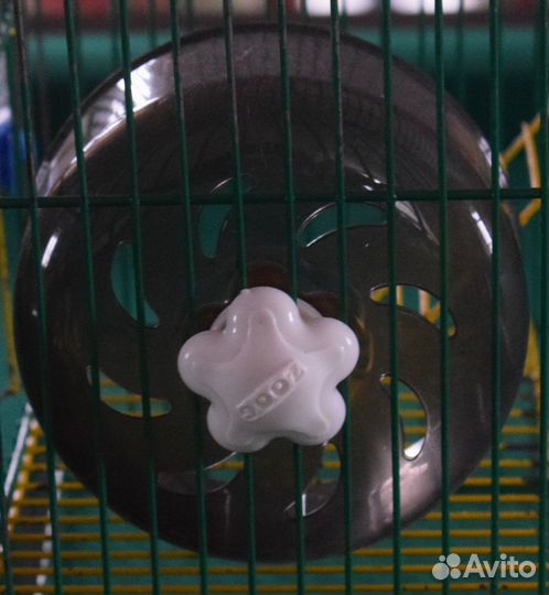 Товары для содержания хомячков, джунгариков