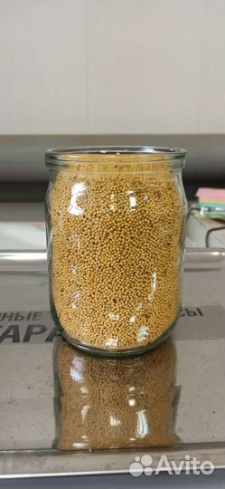 Семена горчицы