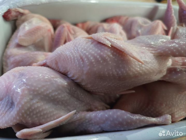 Яйца,перепела копчёные и свежие