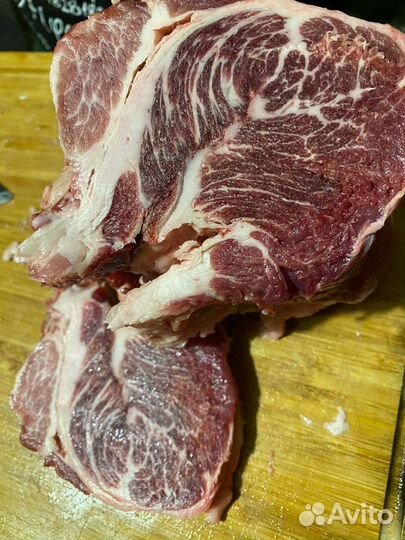 Чистопородный хряк венгерской пушистой мангалицы