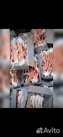 Клешни камчатского краба