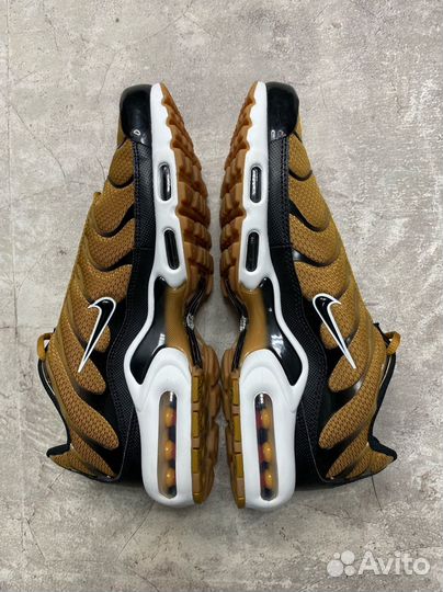 Nike AIr Max Plus “golden harvest” Sample