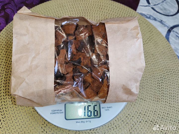 Березовый гриб чага. поднятие иммуни