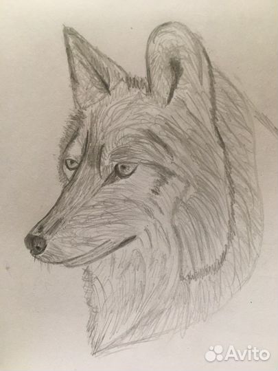 Нарисую рисунок