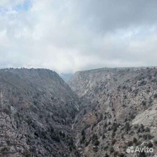 Узбекская Швейцария, Заамин