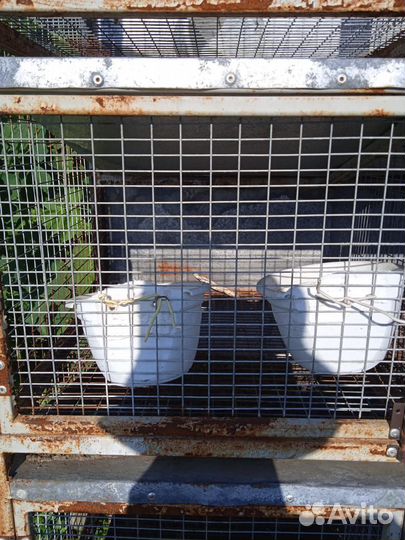 Клетка для кролика большая бу