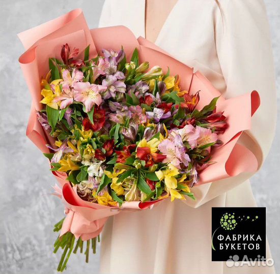 Альстромерия