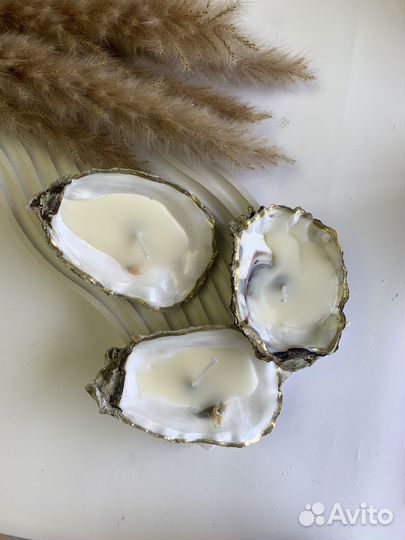 Соевая свеча в устричной раковине