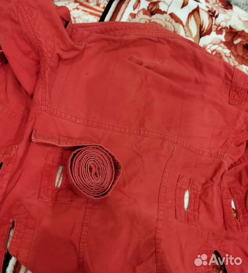 Самбовка крепышя