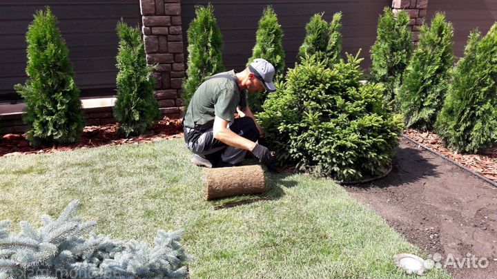 Рулонный газон от производителя - укладка