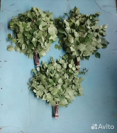 Березовые веники для бани