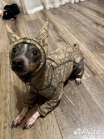 Термо комбинезон для собак/кошек