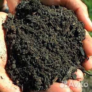 Перегной 3 го года. (Навоз).Перепревший.Без мусора
