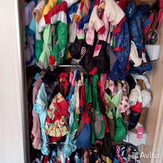 Одежда для собак