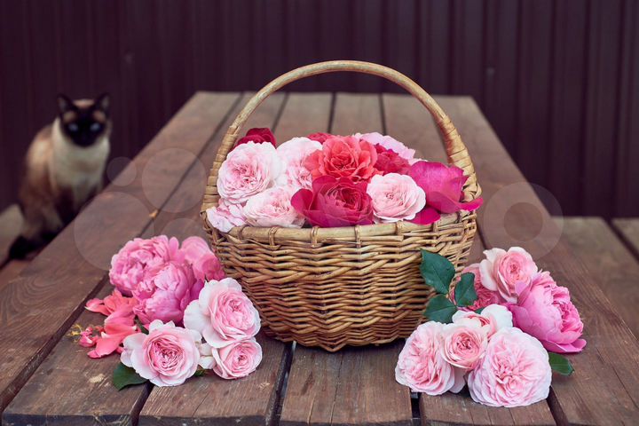 Дом 85 м² на участке 5 сот.