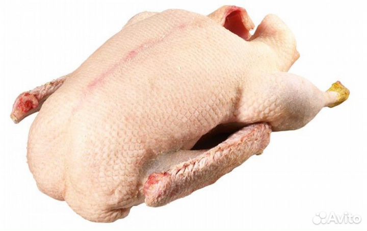 Мясо гуся(линда)