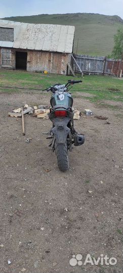 Рейсер нитро 250