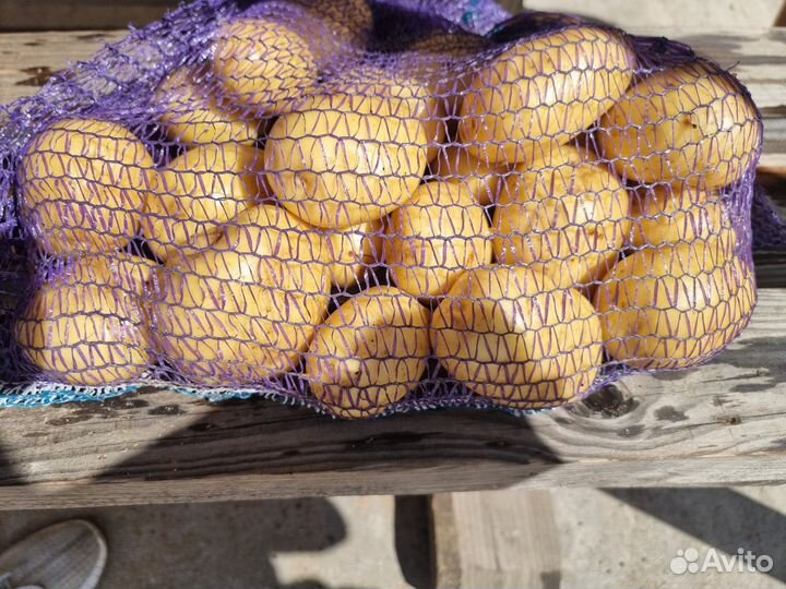 Картофель для мойки