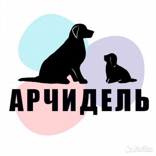 Продавец в зоомагазин