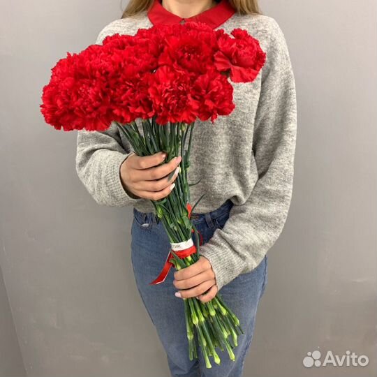 Гвоздика красная, импорт