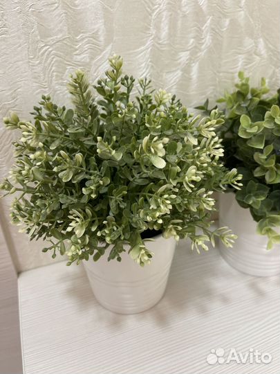 Растение IKEA фейка