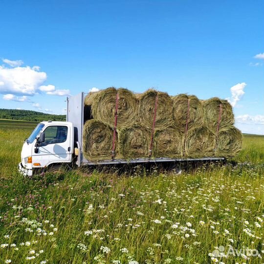 Сено, солома