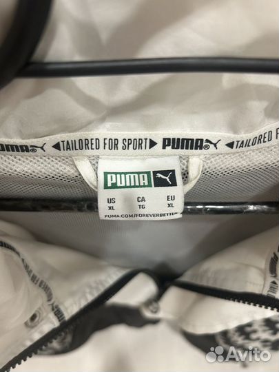 Олимпийка puma tfs