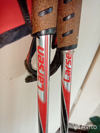 Лыжные палки larsen детские