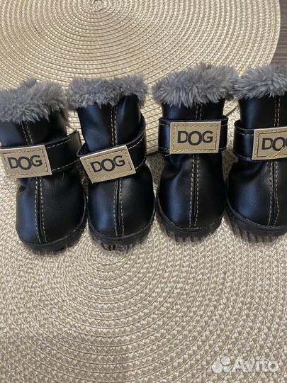 Обувь для собак