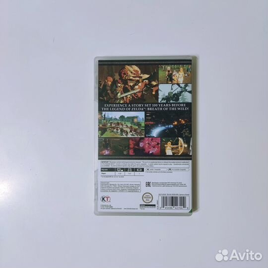 Hyrule warriors Age of Calamity