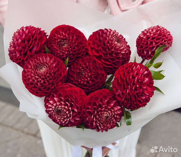 Георгины+доставка