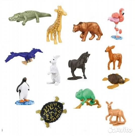 Kinder surprise natoons 2021 2022