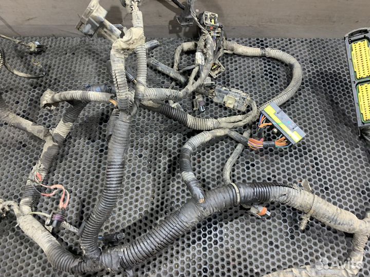 Проводка двигателя Chevrolet Aveo T250 1.2 Авео