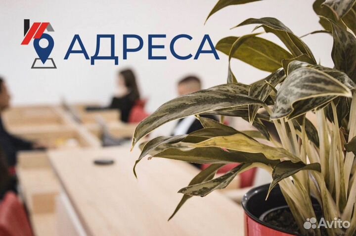 Помощник риэлтора