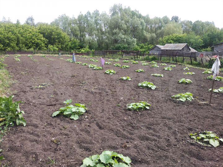 Дом 74 м² на участке 23 сот.