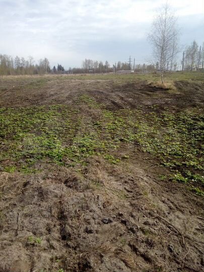 Участок 6 сот. (ИЖС)