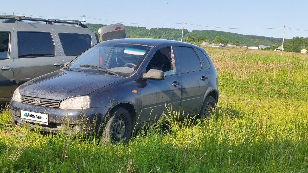 ВАЗ (LADA) Kalina: фото владельца